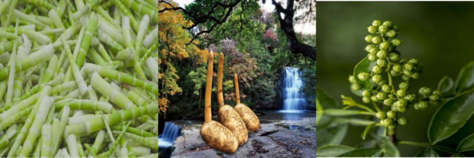 微信图片_20240424093124.png 微信图片_20240424093124.png